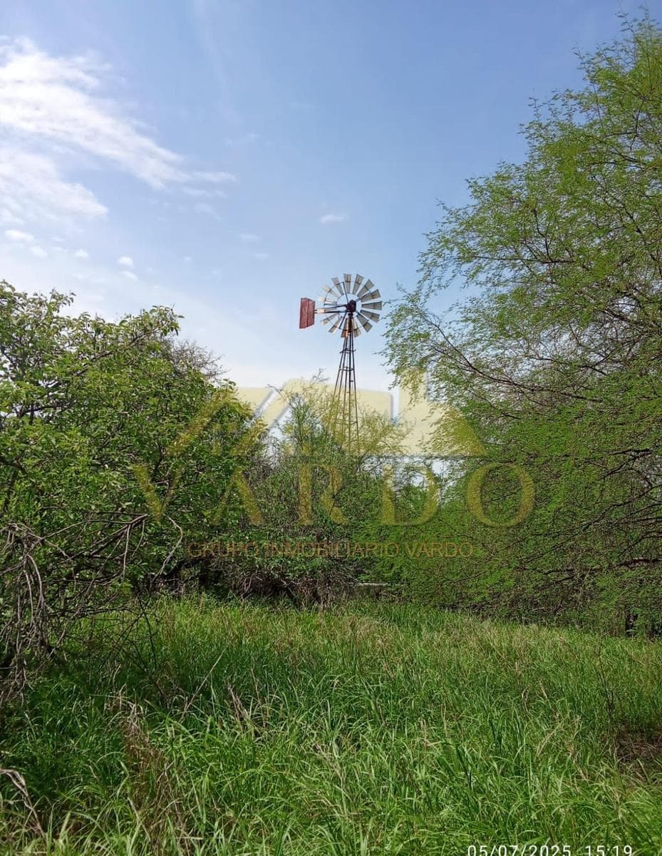 34-hectare Lot for Sale. Sabinas, Hidalgo, Nuevo León