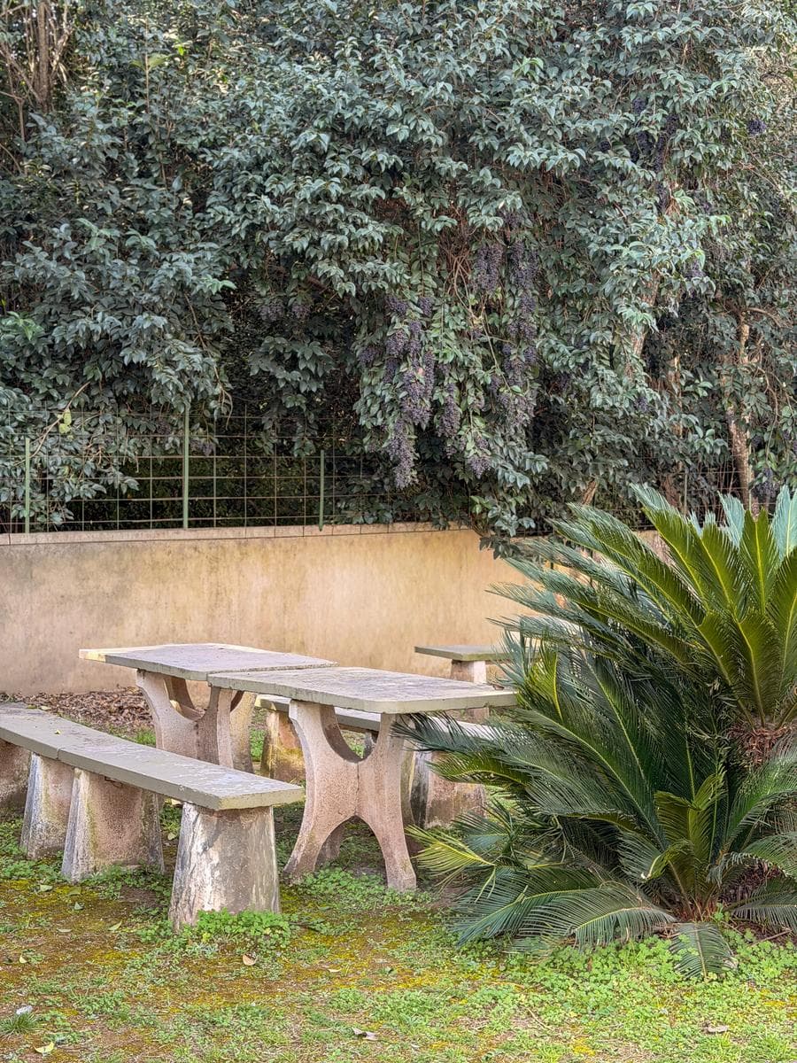 Apartment with a large patio just a few meters from Route 5 and the Anisacate River