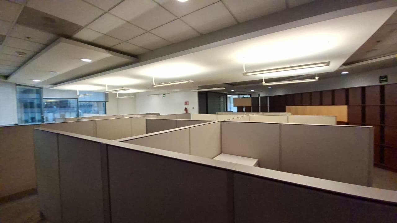Office Space for Rent in Lomas de Chapultepec
