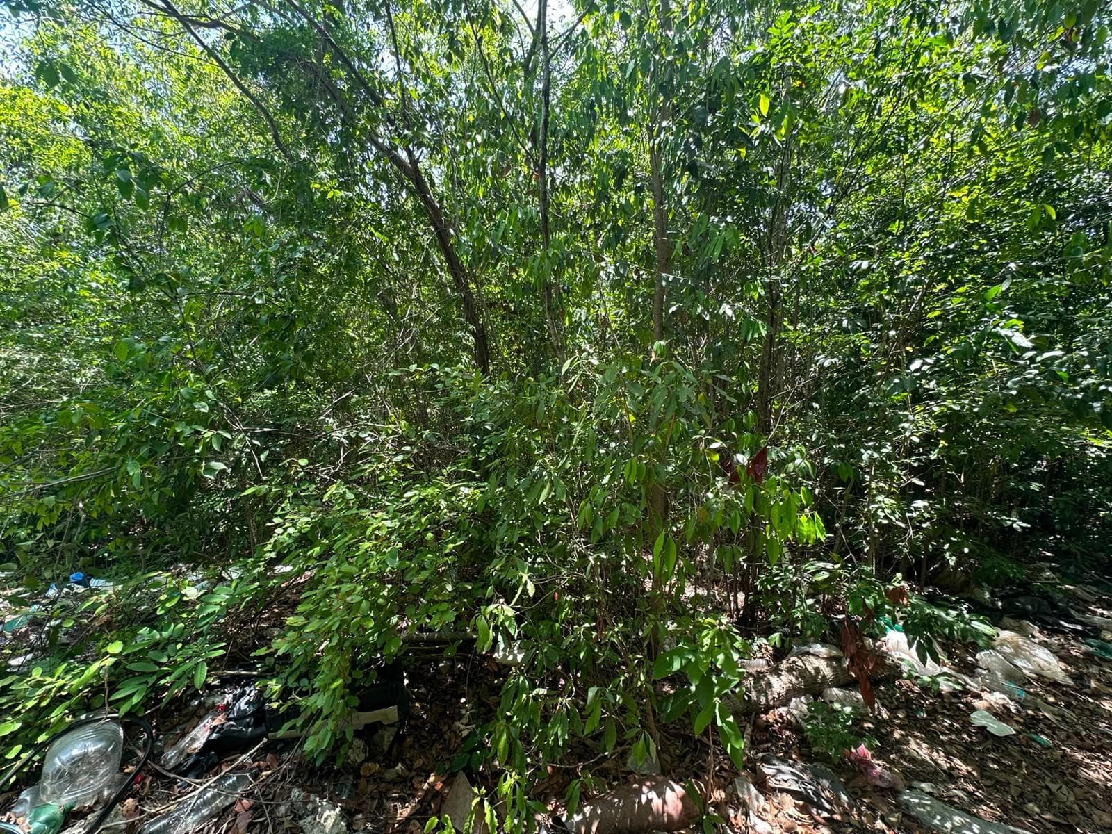 Land NEAR VIA CUMBRES