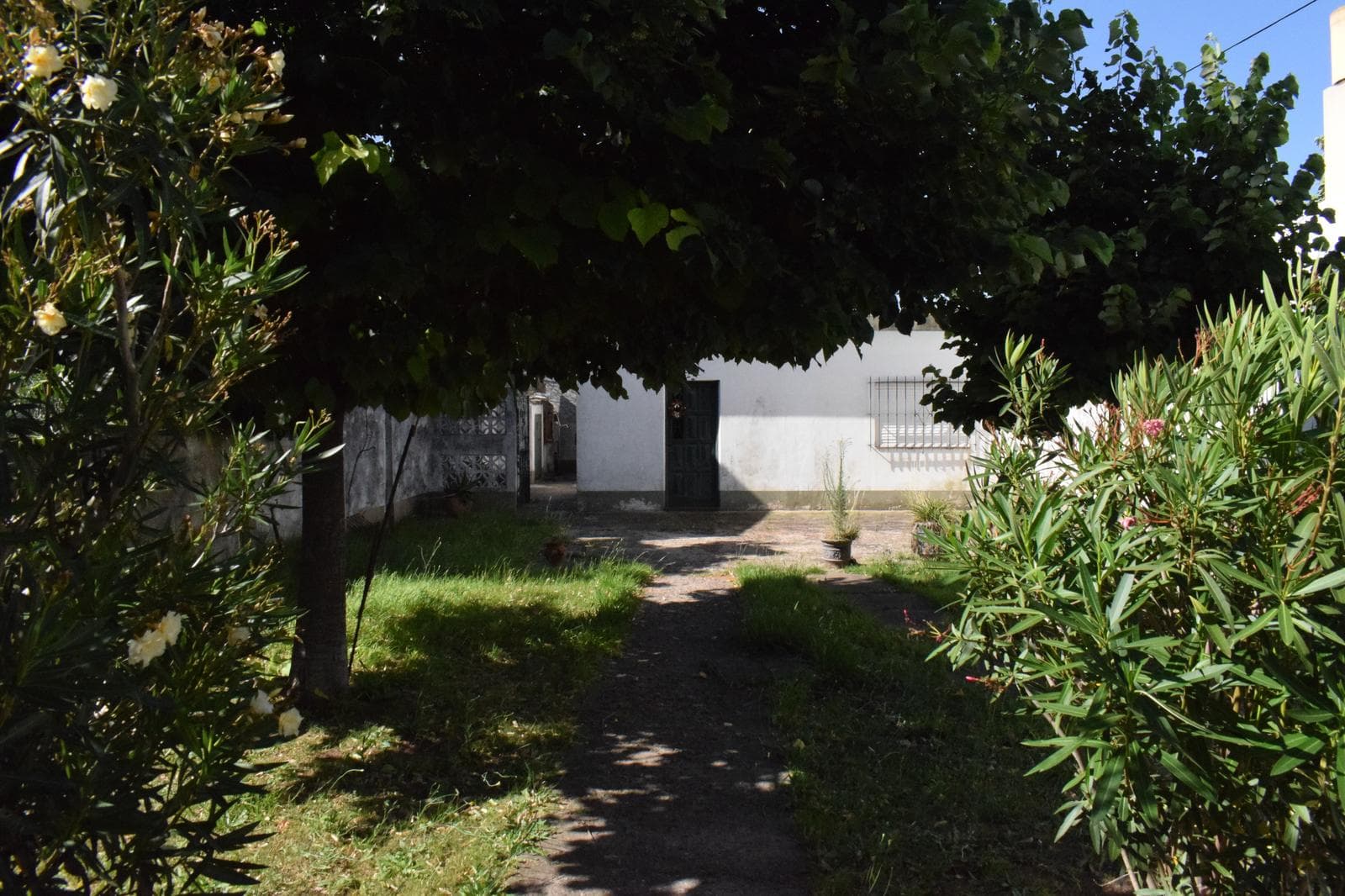 Opportunity: House for Sale in Merlo, in Need of Renovation, 2 Rooms