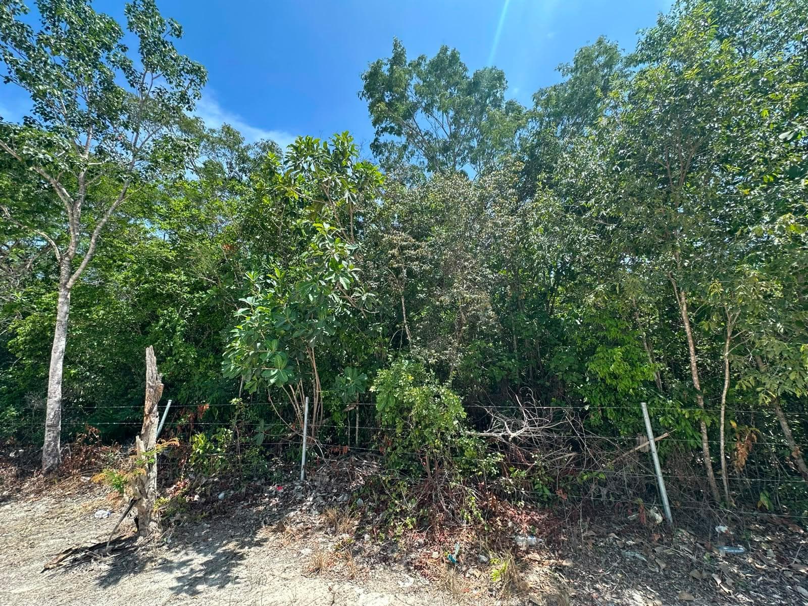 Lot NEAR SUPER AKI