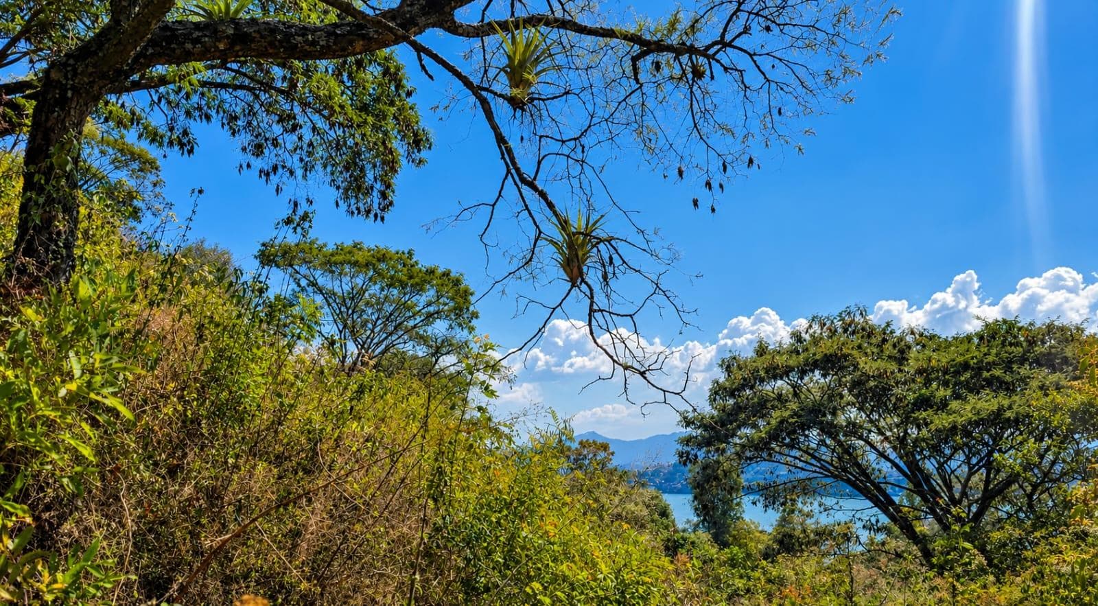 Land in San Gaspar