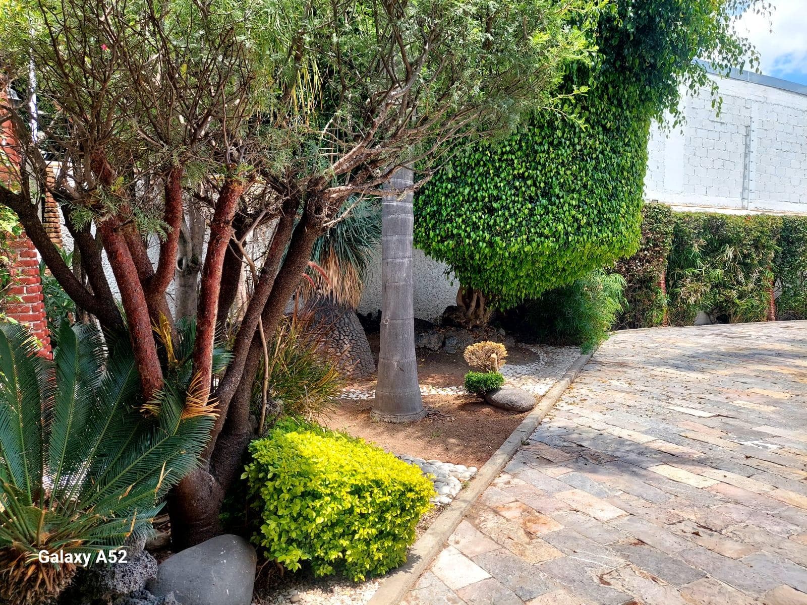 House for sale, 49 PTE, El Carmen Huexotitla, Puebla