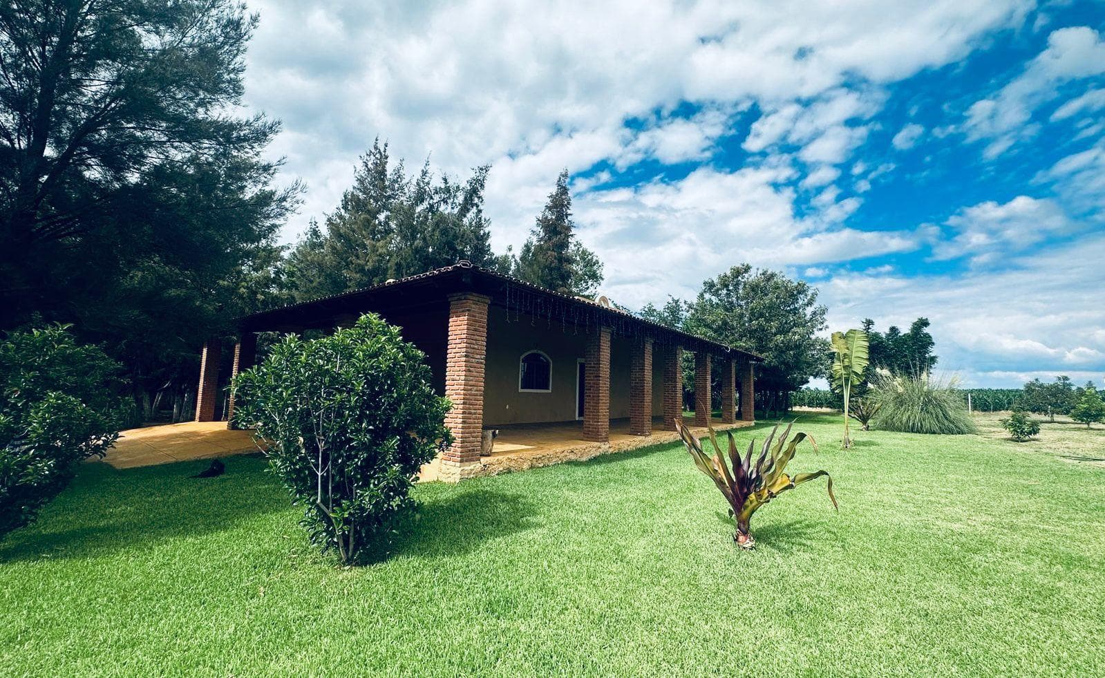 Land in Zapotlanejo