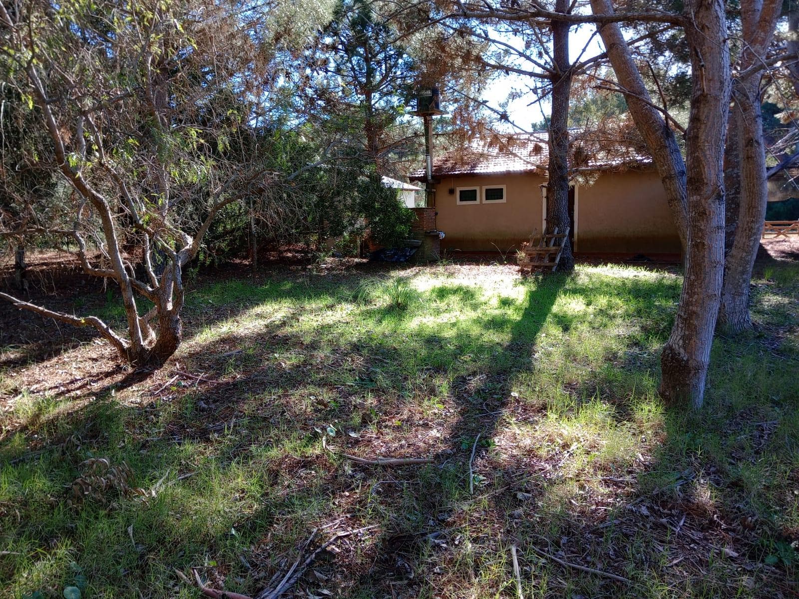 HOUSE FOR SALE: 3-room house with garden and garage in NUEVA ATLANTIS