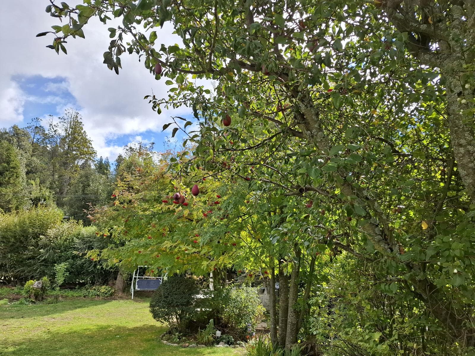 2 Houses for Sale at Km 6 Between Highways - Bariloche