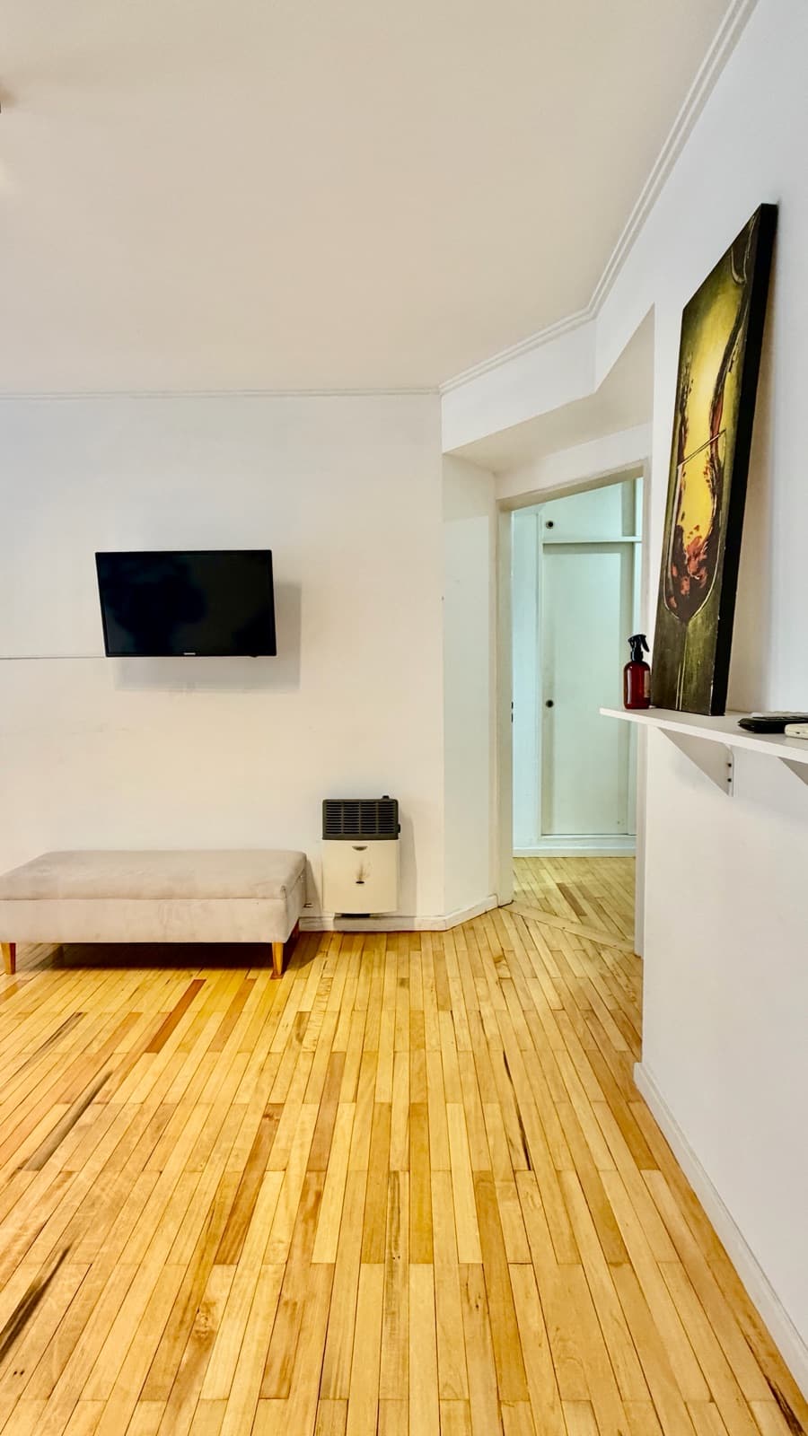 1-Bedroom Apartment in the River Area - Temporary
