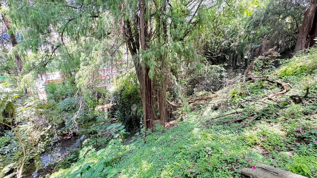 Land for Sale in Rancho Cortés - T82