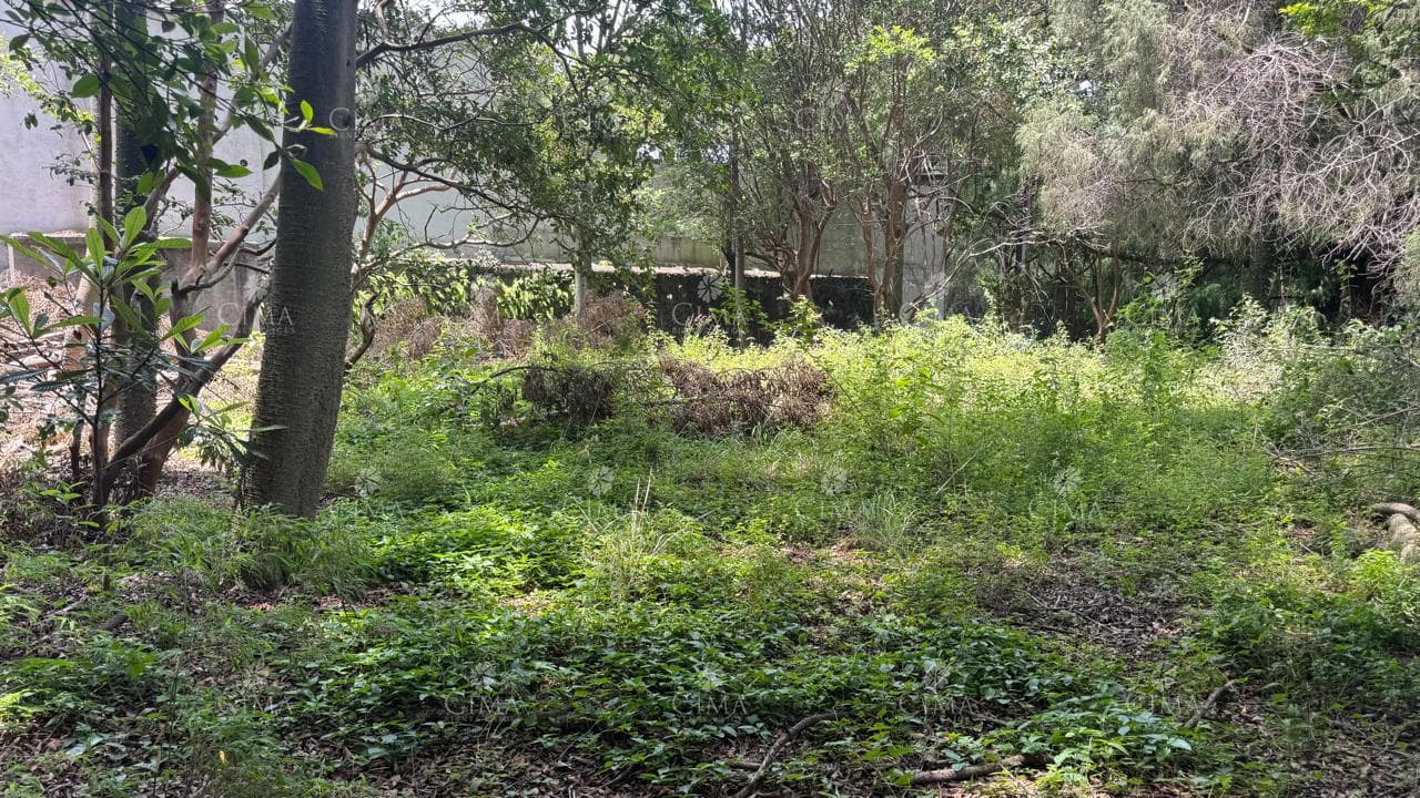 Land for Sale in Rancho Cortés - T82
