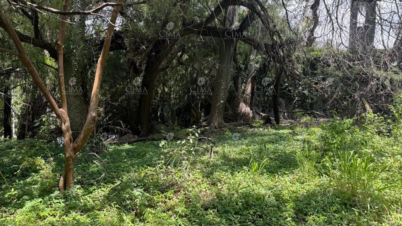 Land for Sale in Rancho Cortés - T82