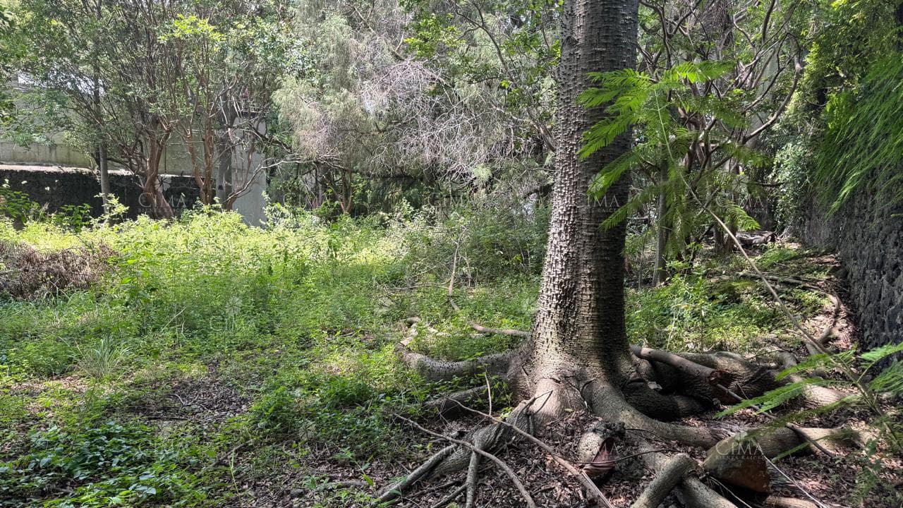 Land for Sale in Rancho Cortés - T82