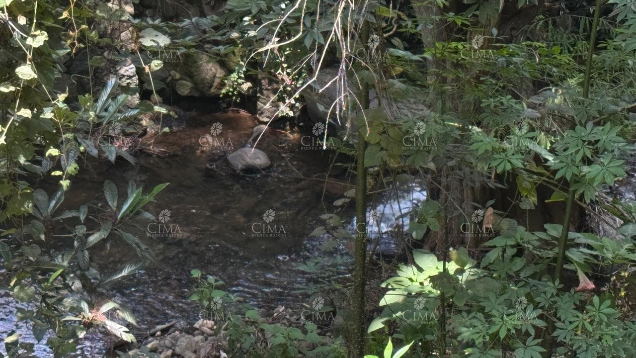 Land for Sale in Rancho Cortés - T82