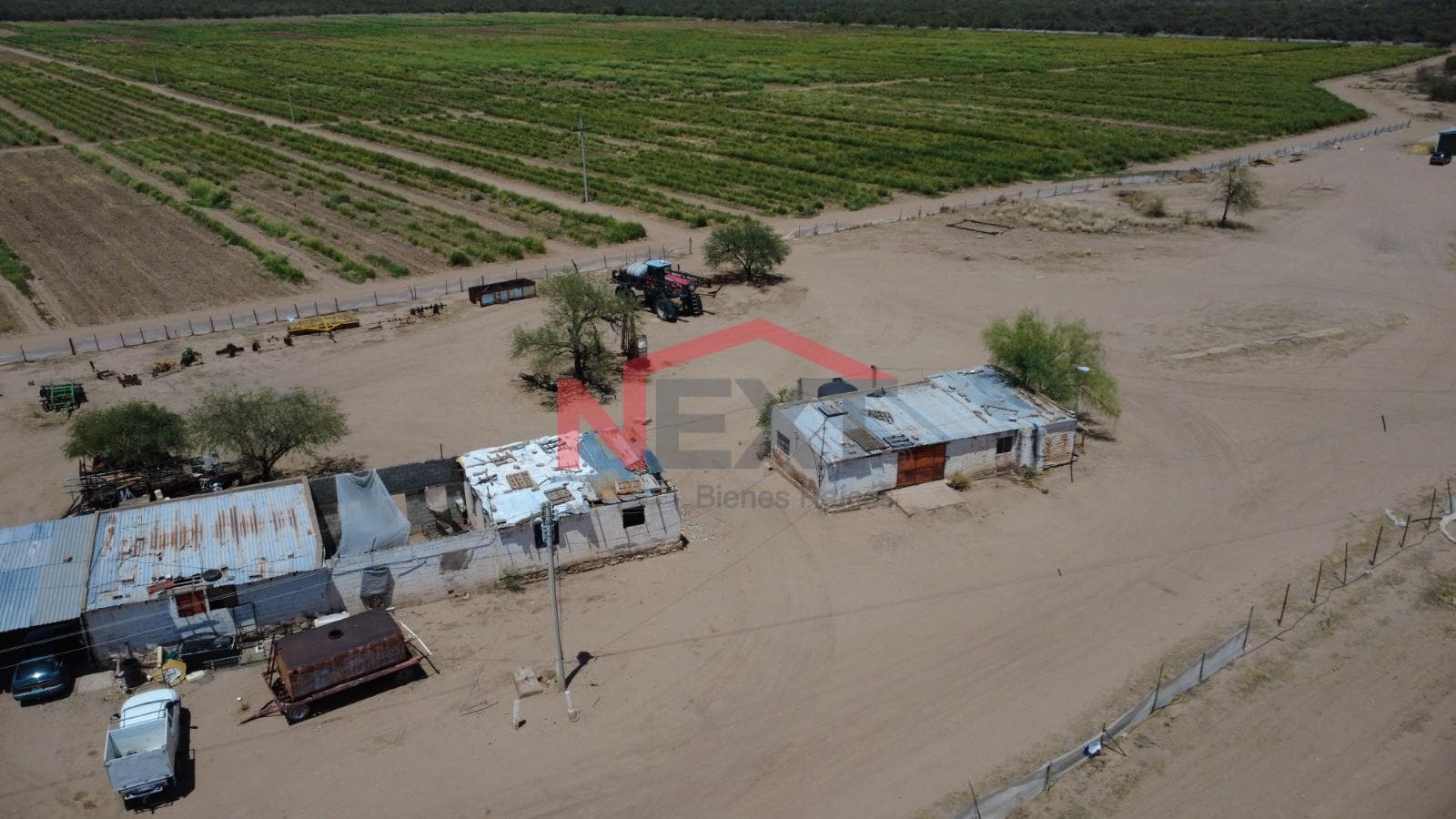 Agricultural Land for Rent in Pesqueira