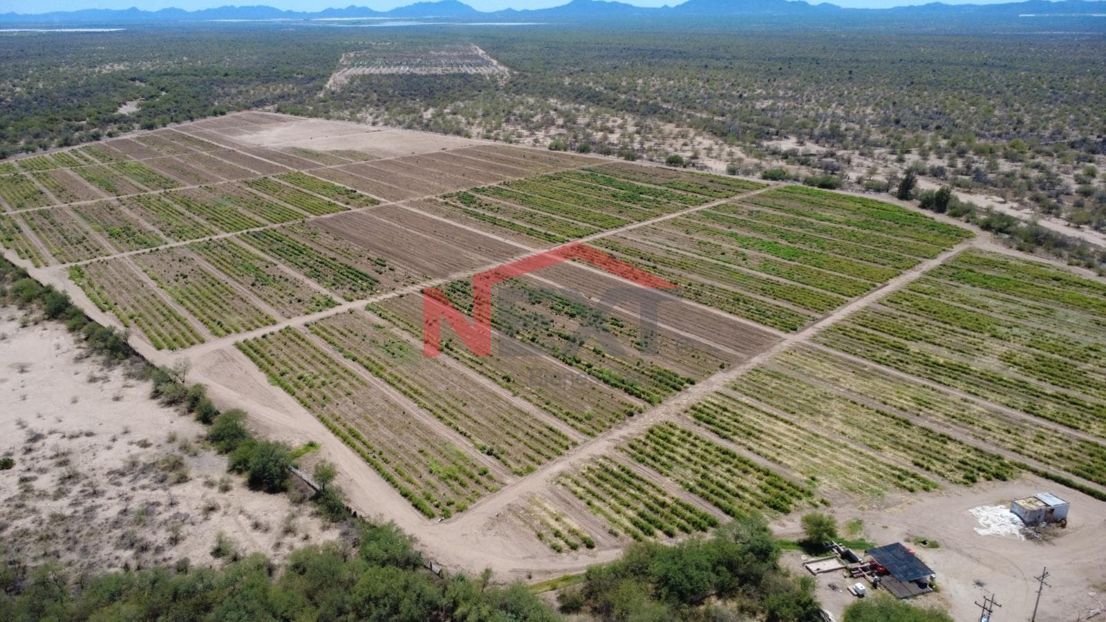 Agricultural Land for Rent in Pesqueira