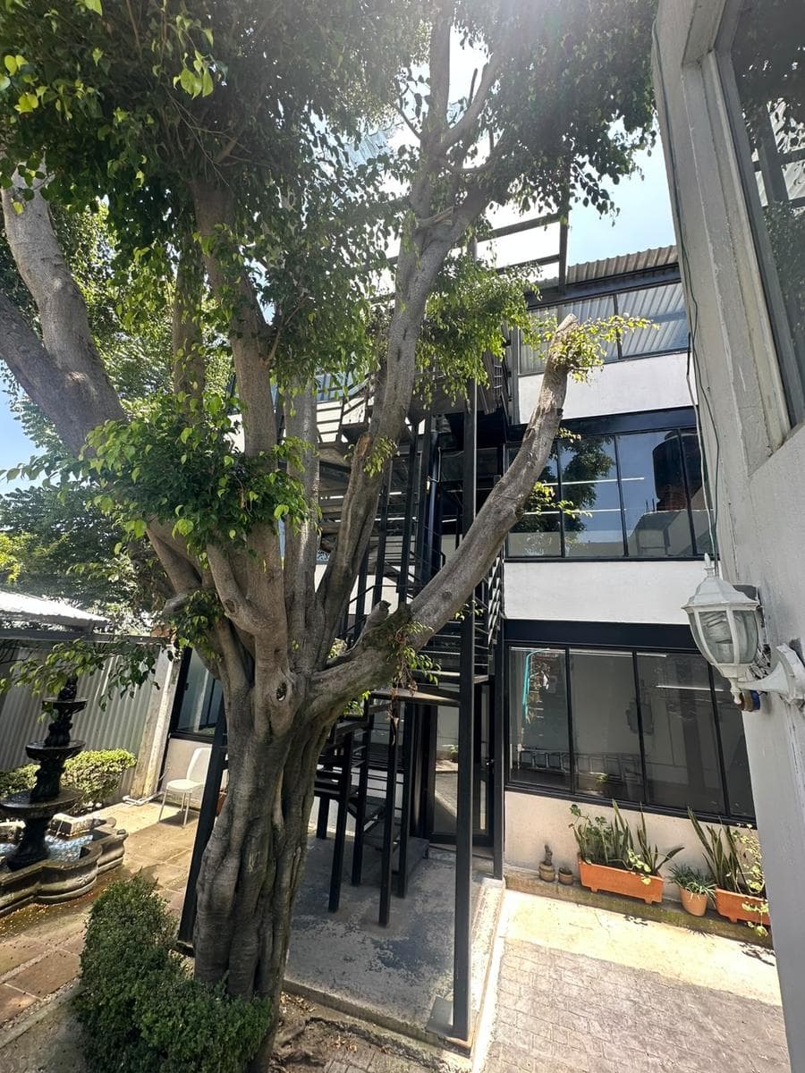 Office for Rent - Santiago Momoxpan - Puebla