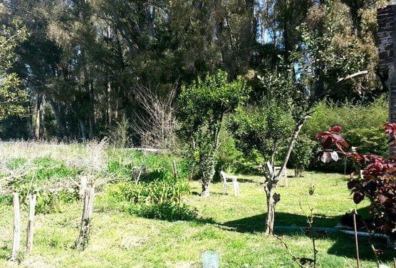 Land in Arana