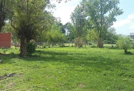 Land in Arana