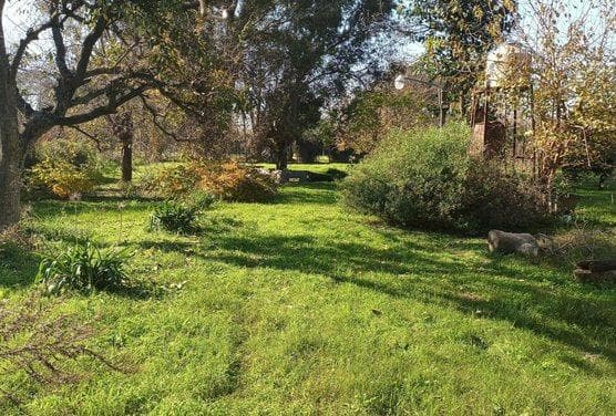 Land in Arana