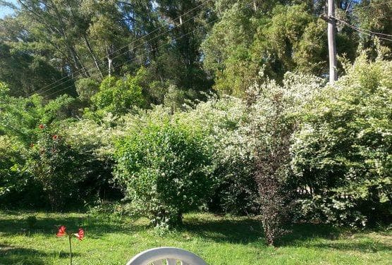 Land in Arana