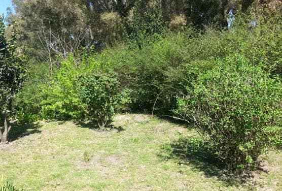 Land in Arana
