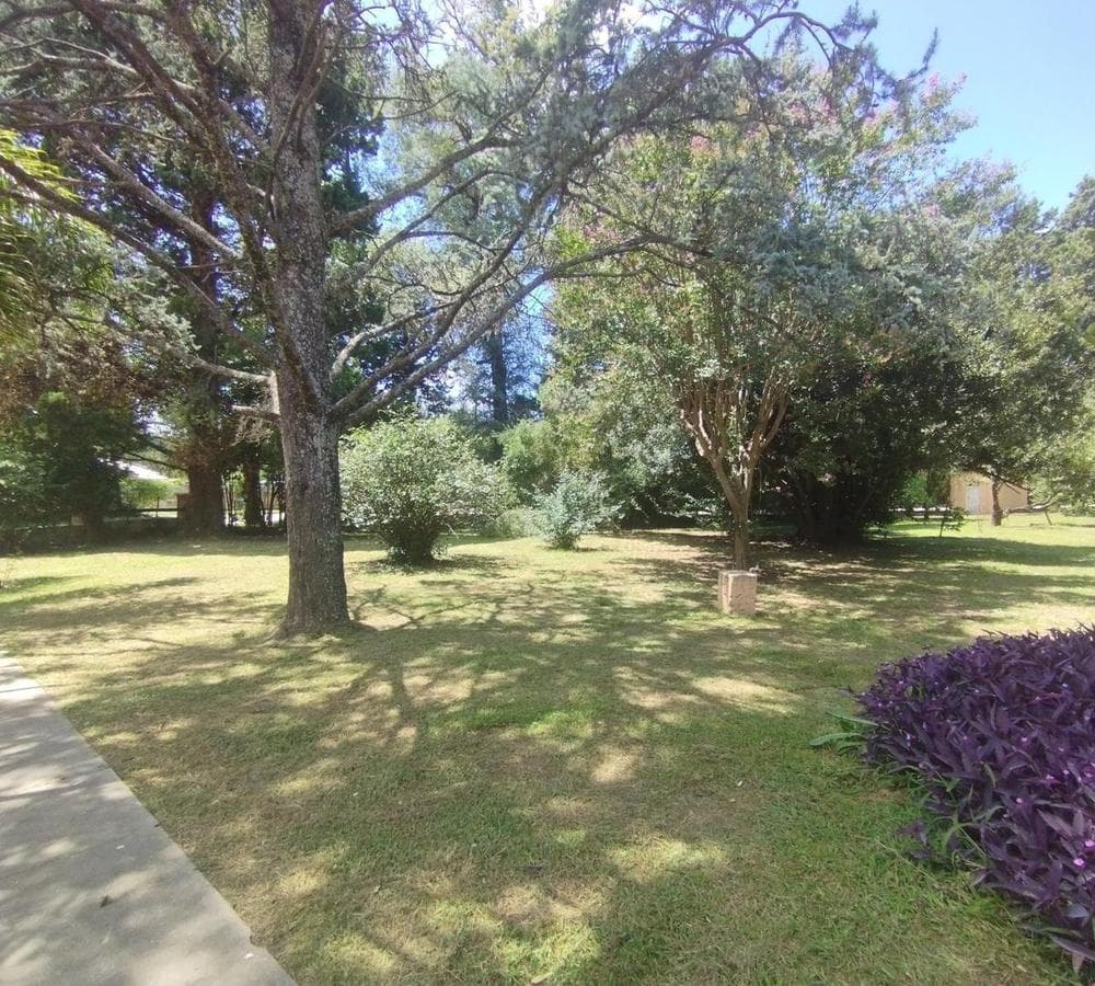 FOR SALE: House with Premium Barbecue Area, Pool, and Large Yard