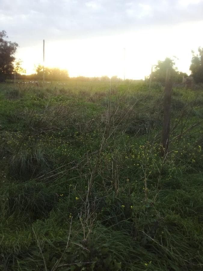 FOR SALE: 6 LOTS, TOGETHER OR SEPARATELY, IN QUEQUEN - NECOCHEA