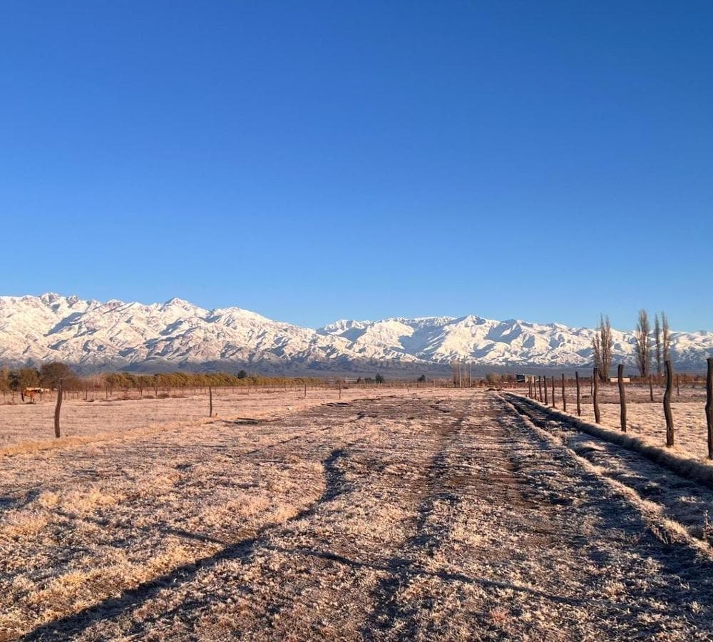 Lot in the La Merlina Neighborhood in the Uco Valley, Mendoza