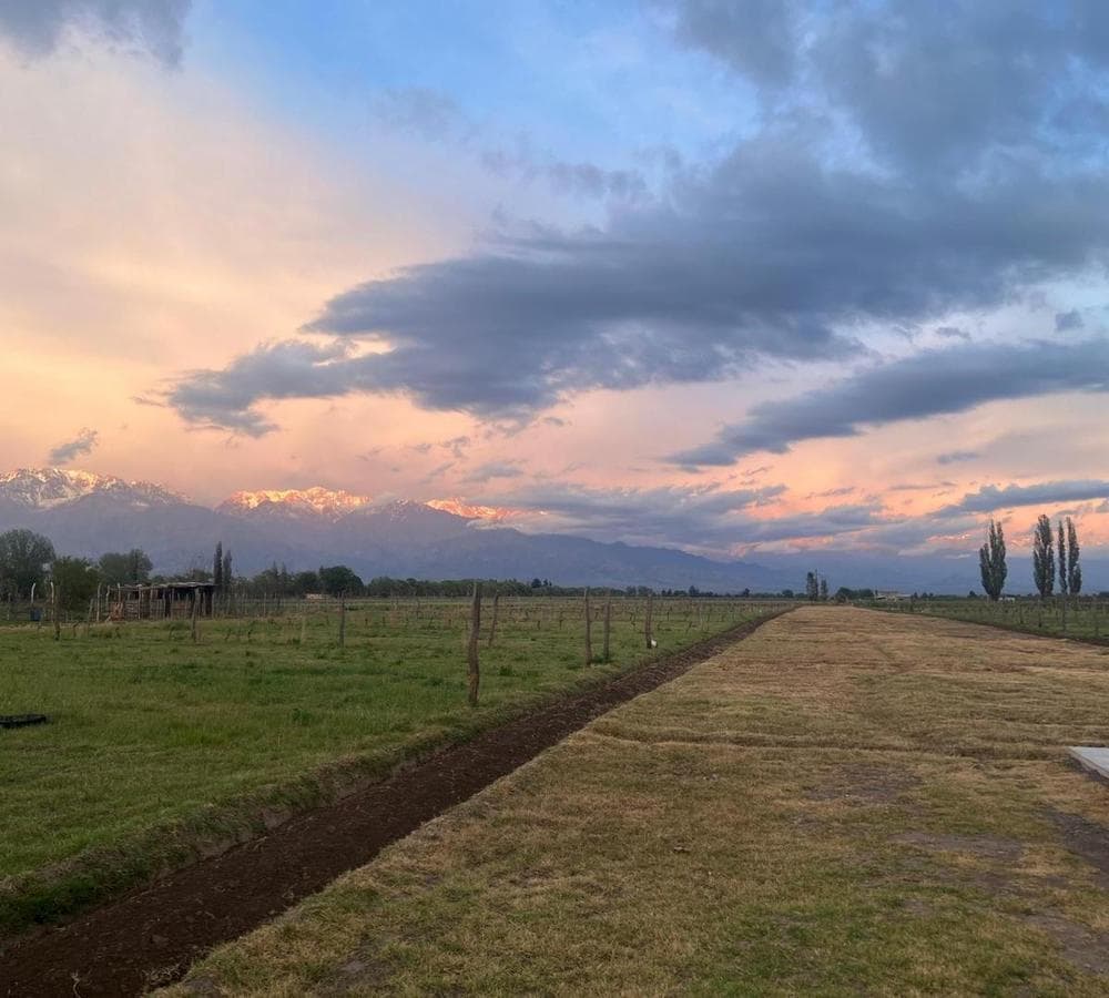 Lot in the La Merlina Neighborhood in the Uco Valley, Mendoza
