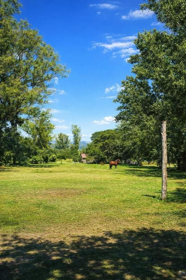 LAND FOR SALE in ANISACATE with IMPROVEMENTS