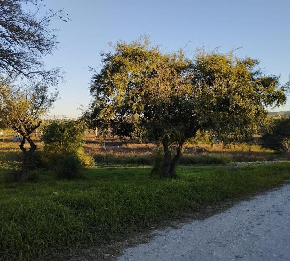 FOR SALE: 300-square-meter lot in a gated community with free security