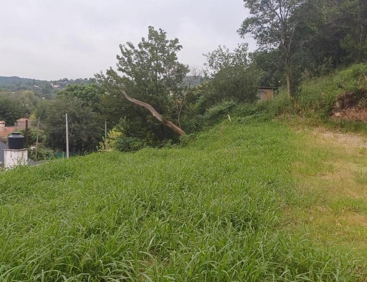 IDEAL LAND FOR DEVELOPMENT - ÑU PORA, RÍO CEBALLOS