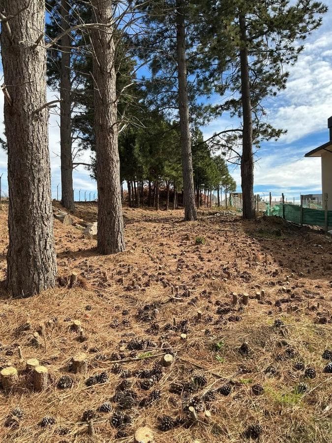 Land for Sale in the Solares del Este Neighborhood