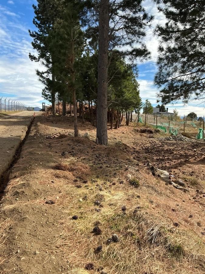 Land for Sale in the Solares del Este Neighborhood