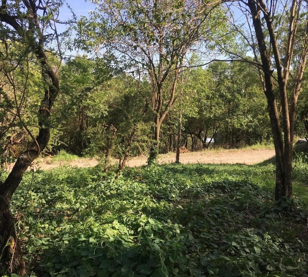 LAND FOR SALE IN RIO CEBALLOS, LA LUCINDA NEIGHBORHOOD—DEED INCLUDED