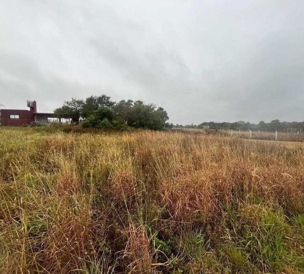 LAND FOR SALE IN AIRES DEL NORDESTE—A GREAT OPPORTUNITY