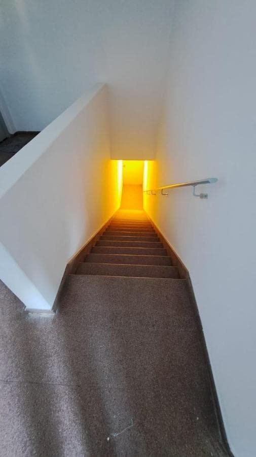 BRIGHT, WELL-LIT APARTMENT FOR RENT