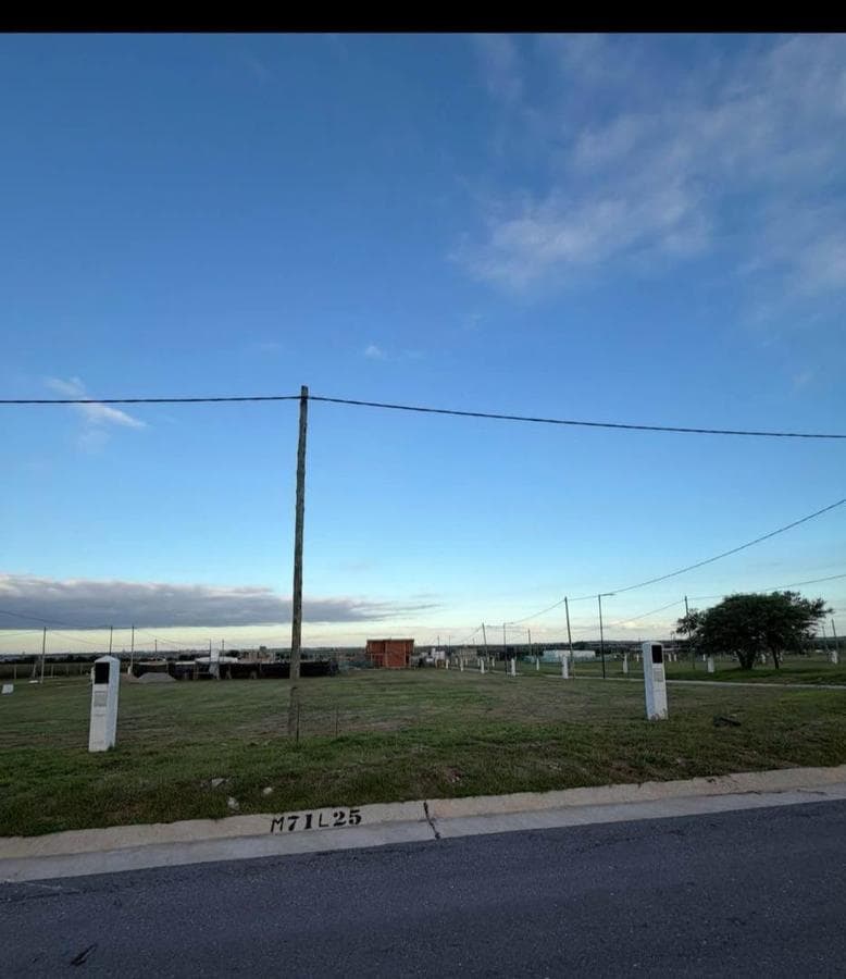 Land for Sale in Docta Central