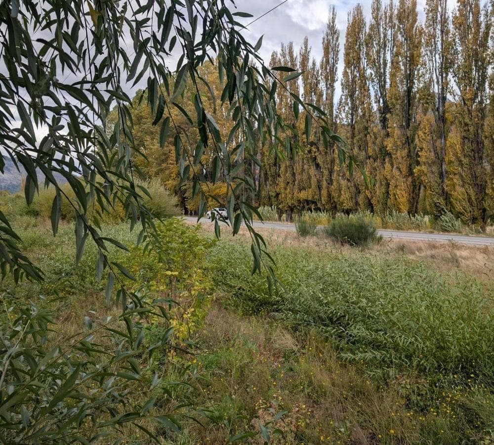 1.8-hectare plot along Route 40 - El Hoyo, Chubut