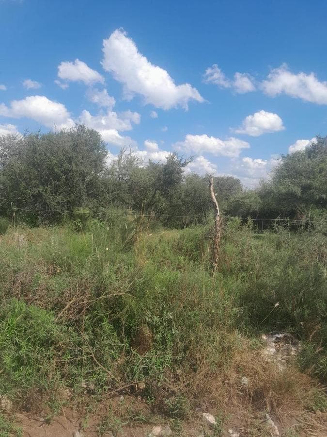 FINANCING AVAILABLE: LAND FOR SALE IN COSQUIN, CORDOBA