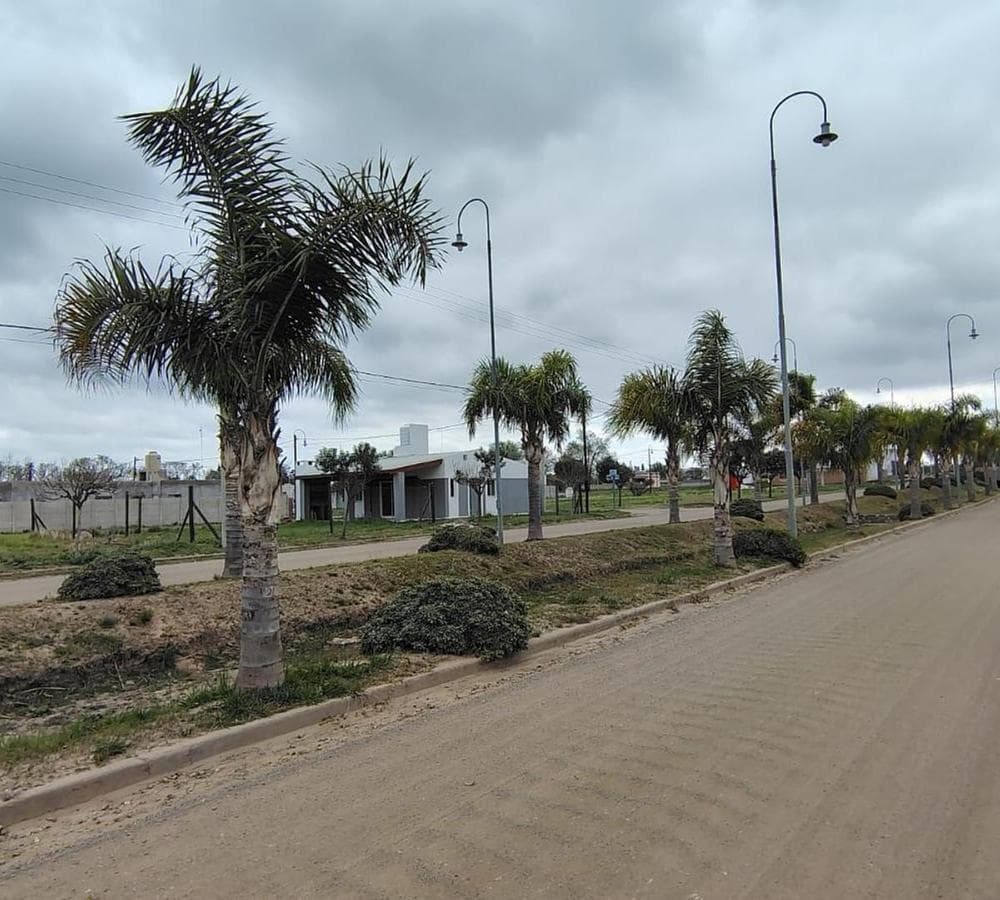 Land for Sale in Altos de la Colonia