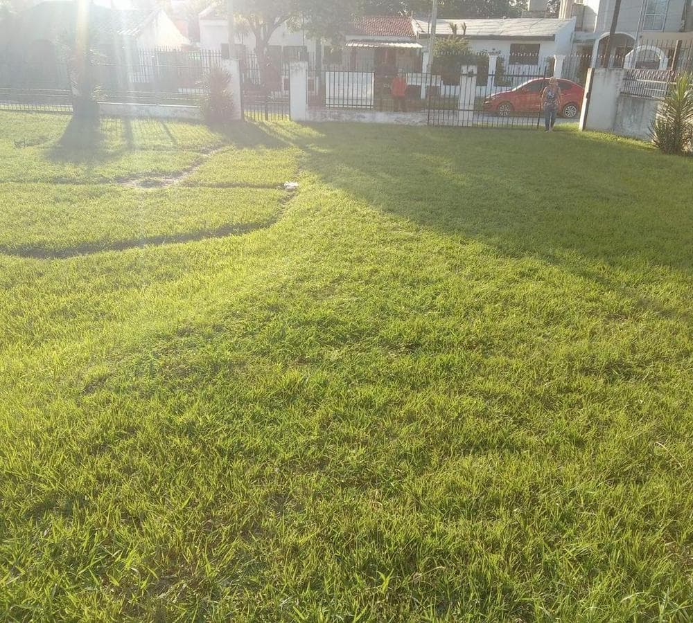 FOR SALE: HOUSE AND LAND — BUSINESS OPPORTUNITY — ARGUELLO