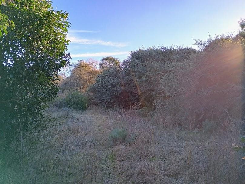 LAND IN EL DURAZNO, TANTI, CÓRDOBA