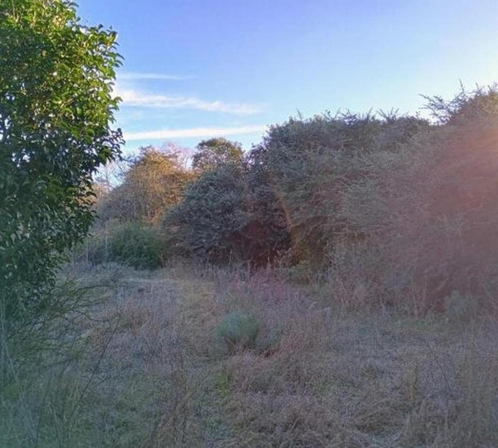 LAND IN EL DURAZNO, TANTI, CÓRDOBA