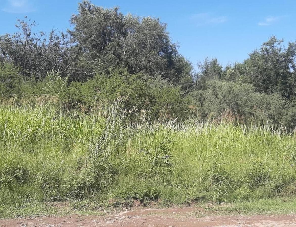 LOT FOR SALE IN SAN ROQUE PUNILLA