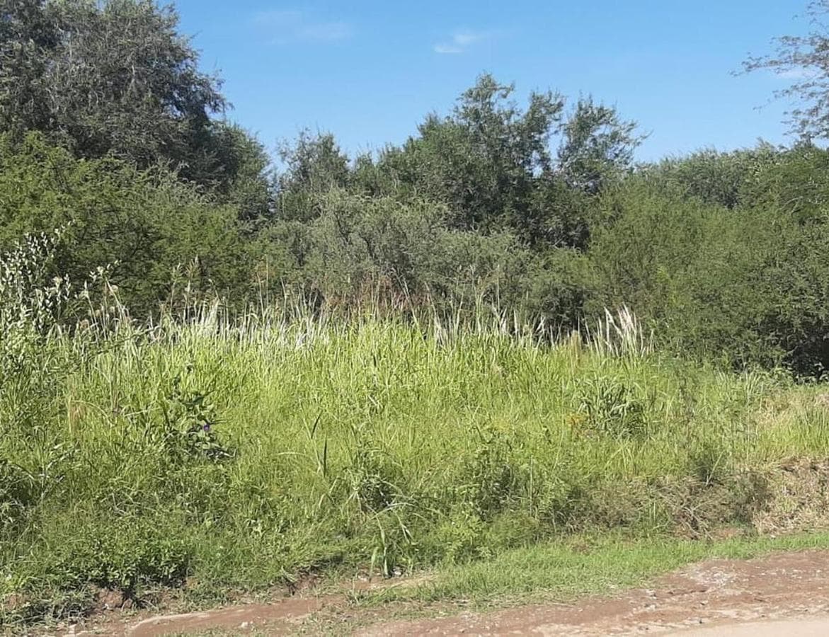 LOT FOR SALE IN SAN ROQUE PUNILLA