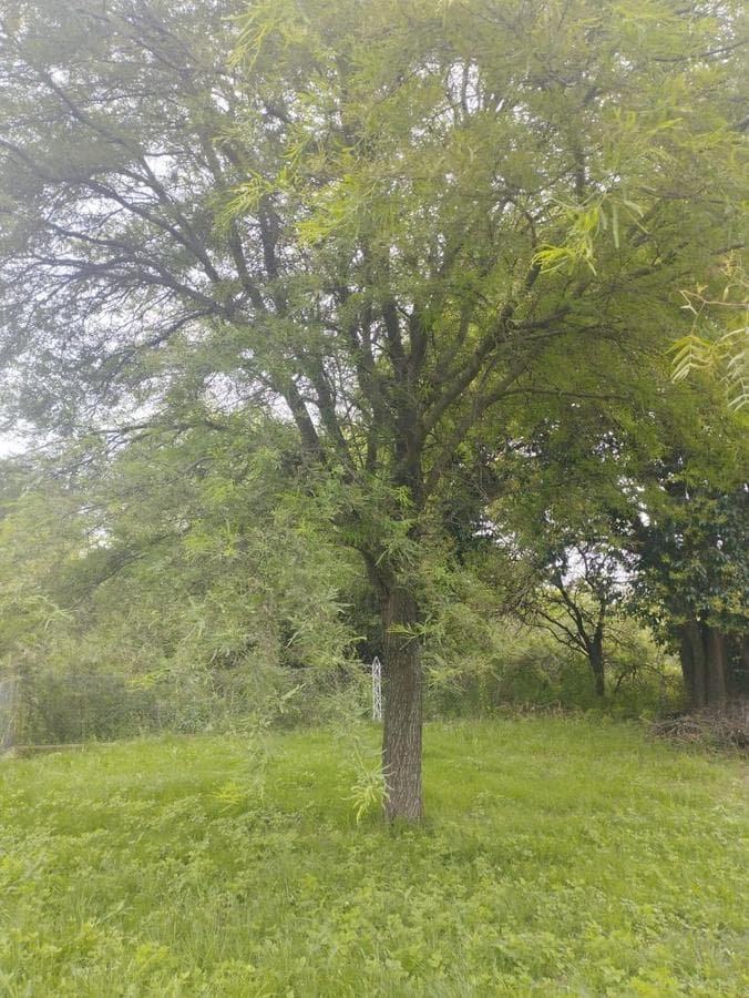 FOR SALE: Large Lot with a View and Fronting RP E 56, Villa San Isidro