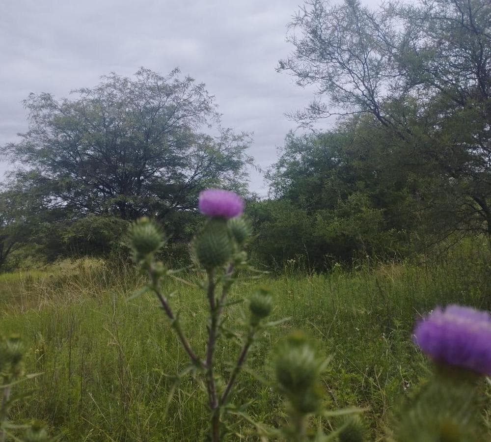 FOR SALE: Large Lot with a View and Fronting RP E 56, Villa San Isidro