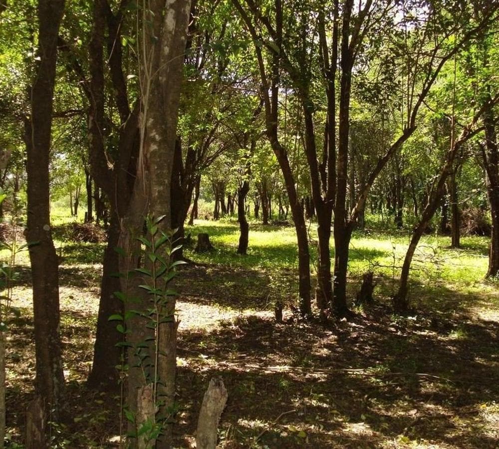 LOT | 2 ADJACENT LOTS | UNQUILLO