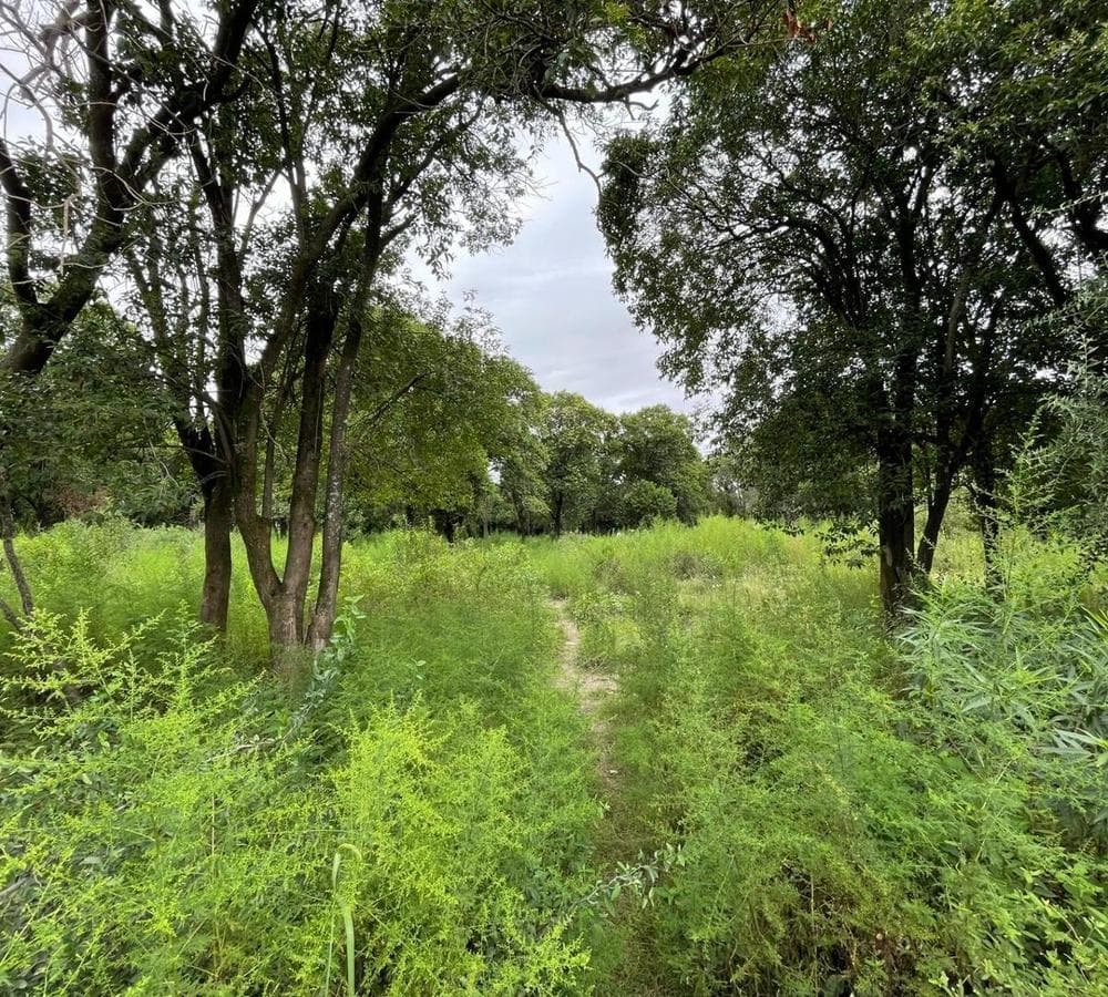 LOT | 2 ADJACENT LOTS | UNQUILLO